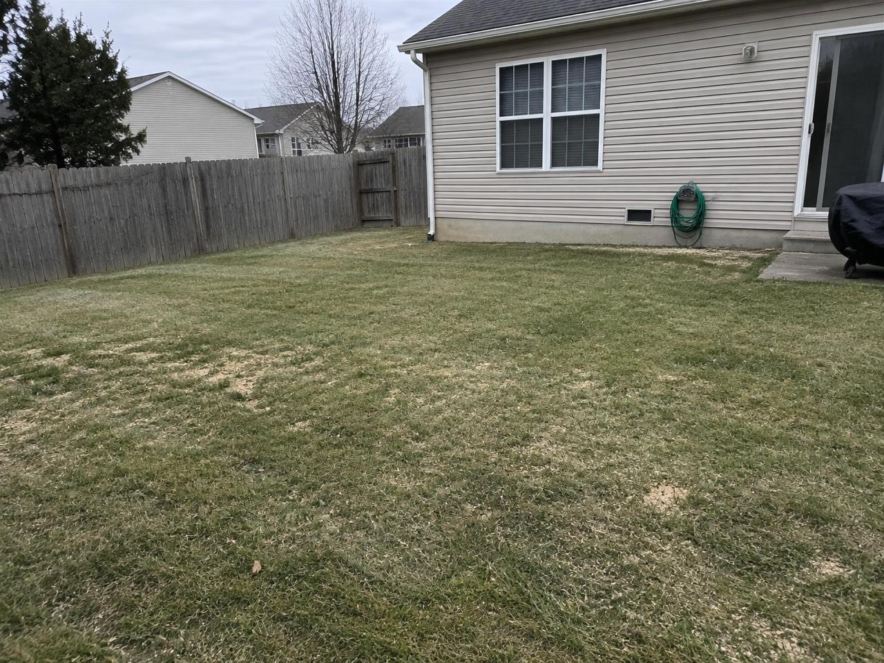 Backyard in Apex, NC raked and blown clean after a pine removal and stump grinding