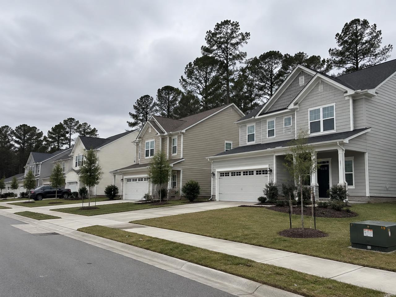 Newer Holly Springs, NC subdivision with young builder-planted trees and pines behind the houses