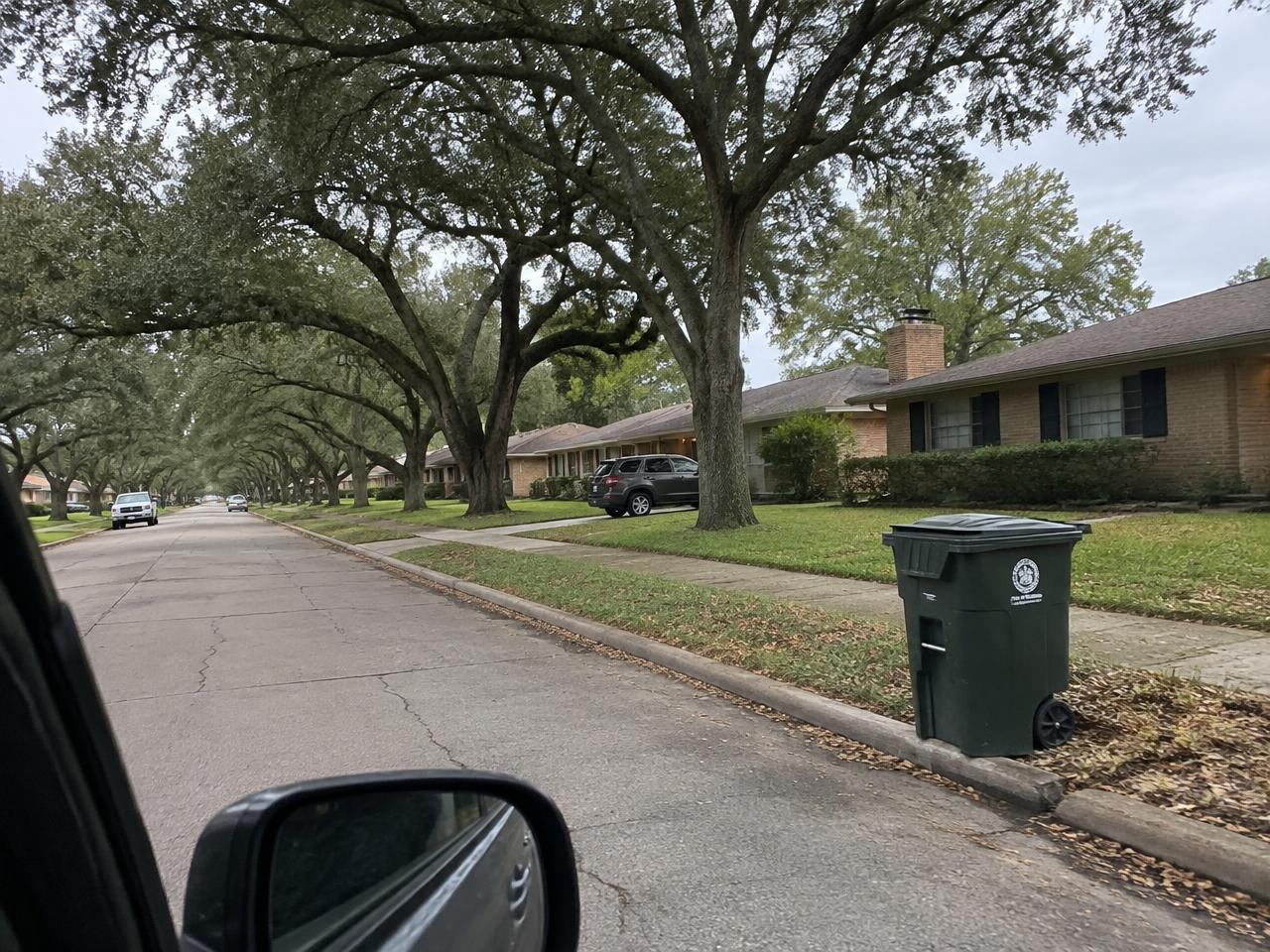 Mature oaks arching over a street in an established Cary, NC neighborhood