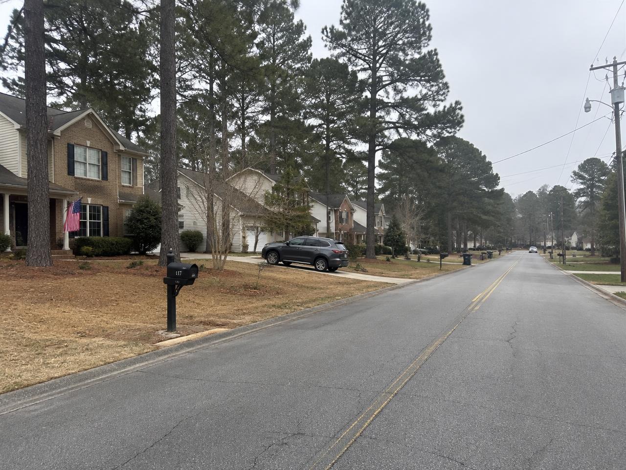 Street of brick homes framed by tall loblolly pines in Apex, NC