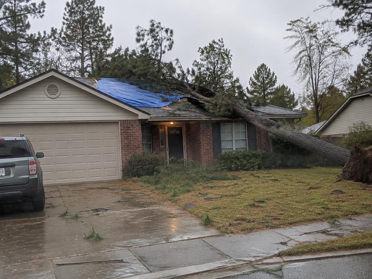 Pine fallen across a suburban roof with a tarp over the damage after a Triangle storm