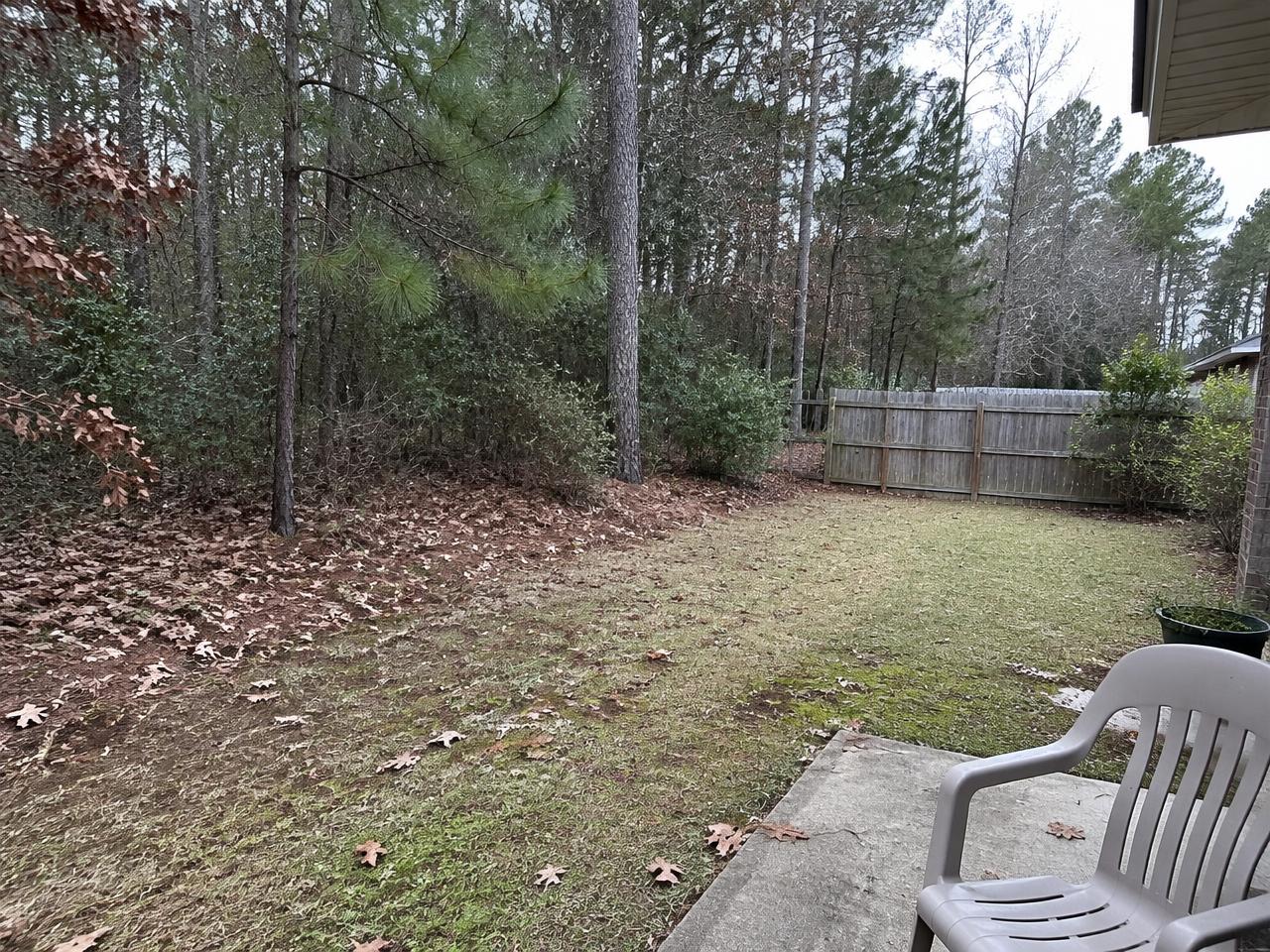 Wooded lot line of pines and hardwoods meeting a backyard in Fuquay-Varina, NC